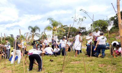  Prefeitura de Itapevi realiza plantio de mudas nativas na Cohab
