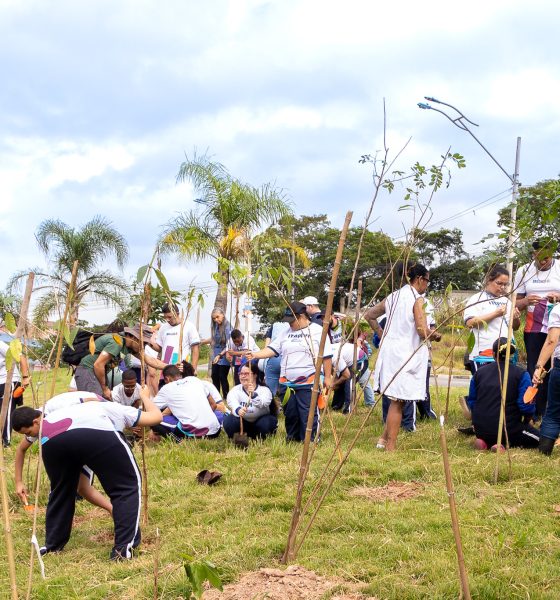  Prefeitura de Itapevi realiza plantio de mudas nativas na Cohab