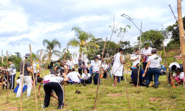  Prefeitura de Itapevi realiza plantio de mudas nativas na Cohab
