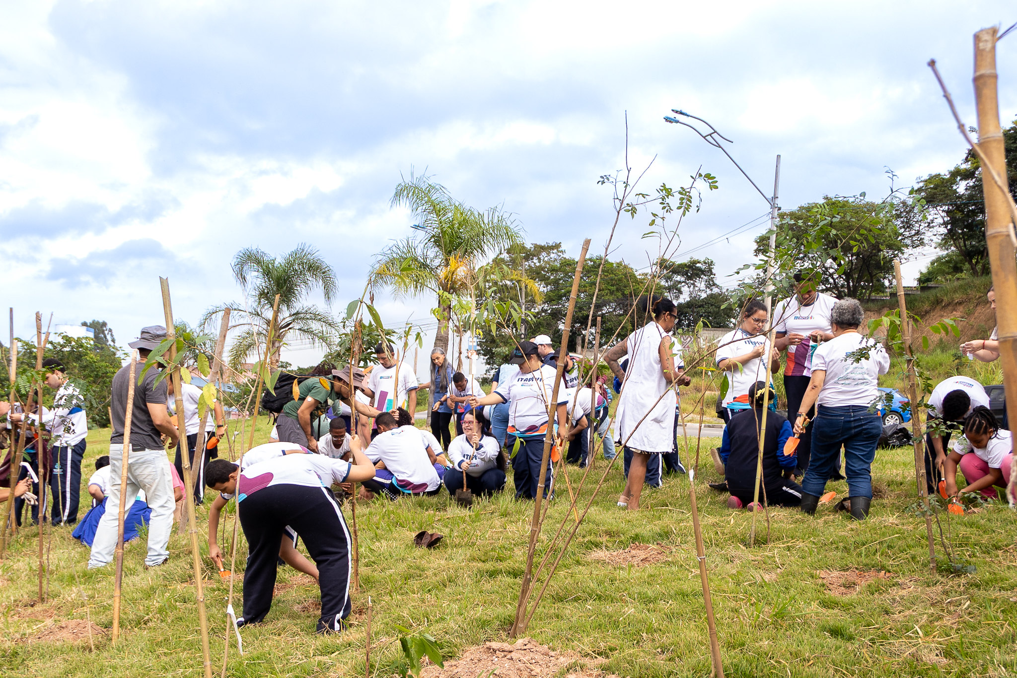  Prefeitura de Itapevi realiza plantio de mudas nativas na Cohab