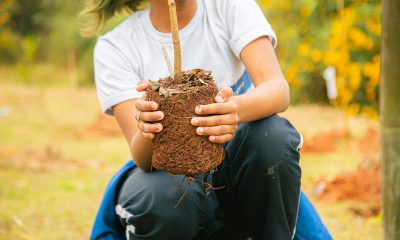  Itapevi participa do Desafio Mundial da Natureza Urbana com programação gratuita