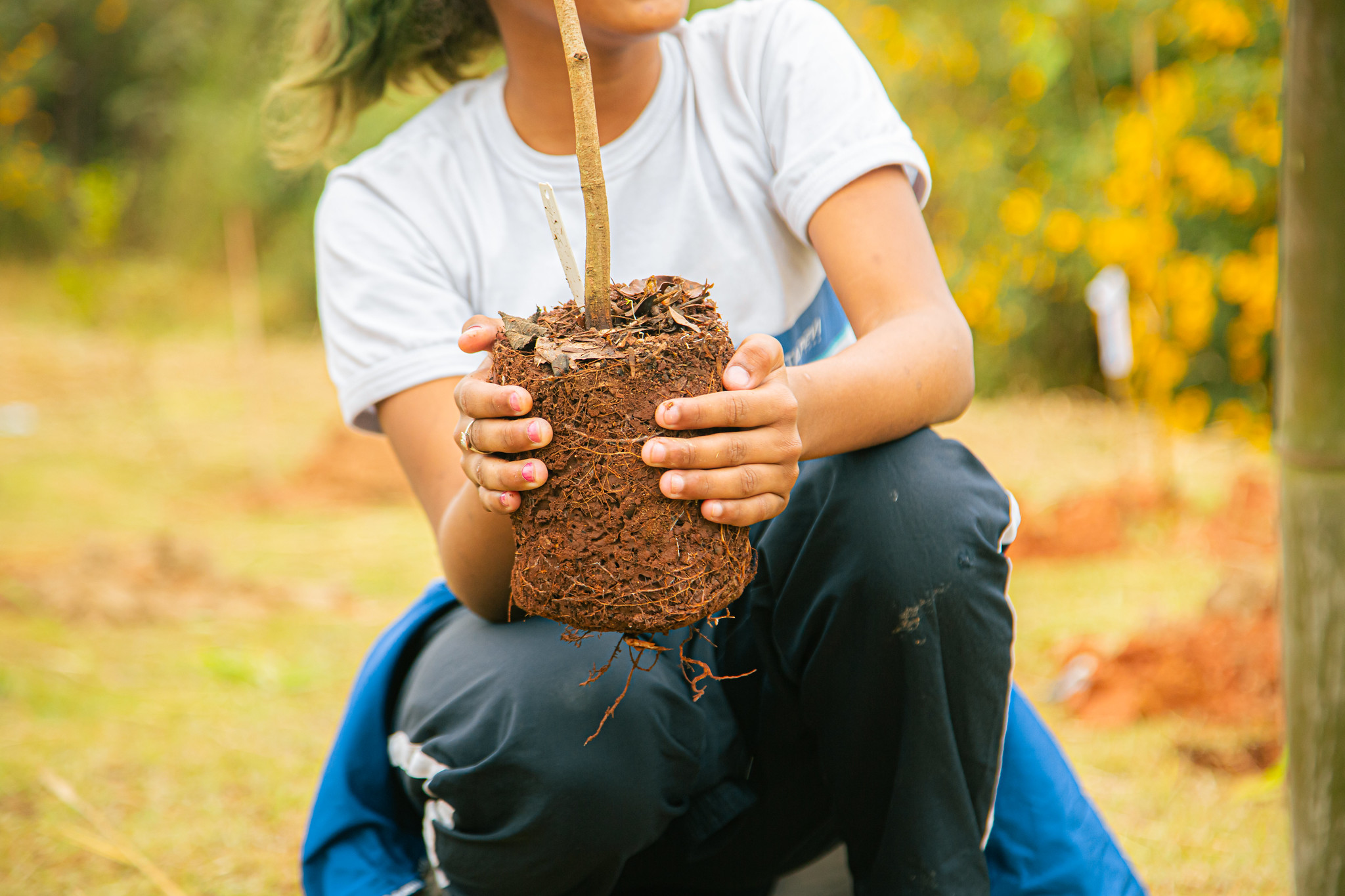  Itapevi participa do Desafio Mundial da Natureza Urbana com programação gratuita