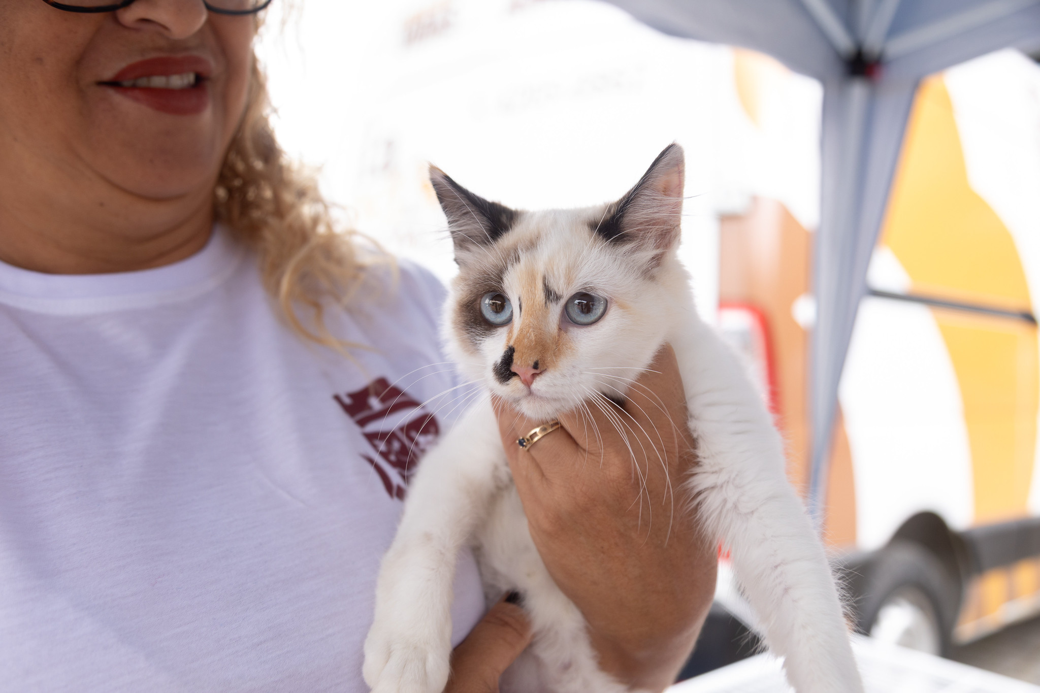 Prefeitura de Itapevi promove doação de mudas e feira de adoção de cães e gatos neste sábado (27)